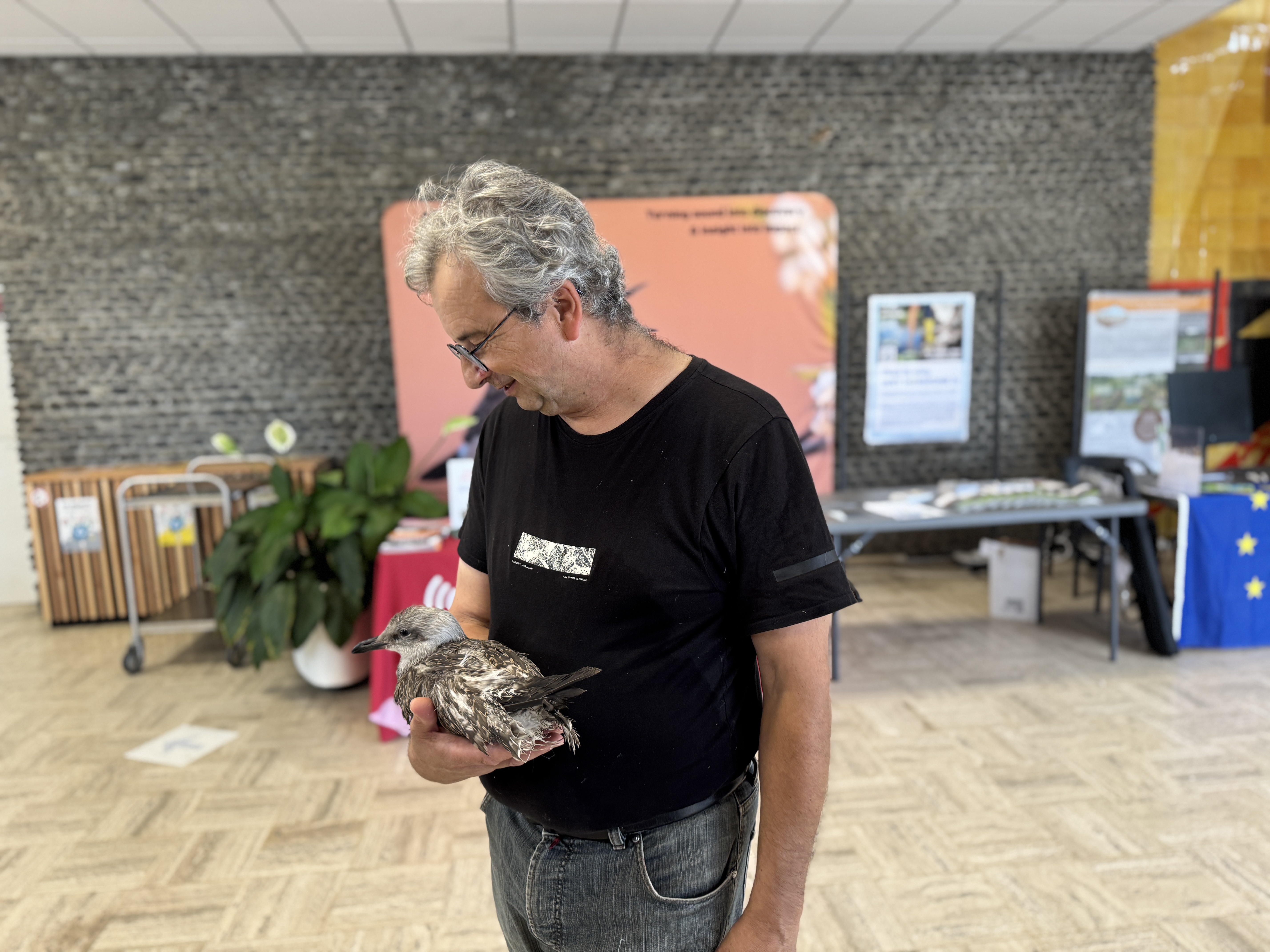 Un homme tient un oiseau blessé dans un espace intérieur associé à la sensibilisation environnementale.