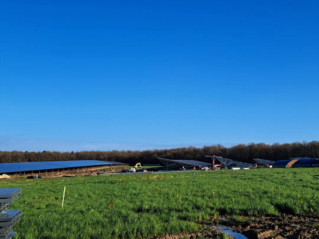 Au premier plan de la photo, de l'herbe verte. Au second plan, des panneaux solaires avec derrière des arbres verts. La moitié supérieure de la photo est occupée par un ciel bleu.